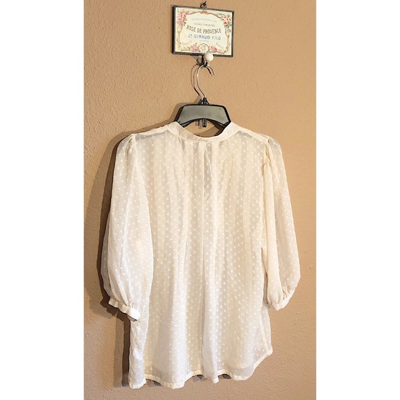 Anthro Daniel Rainn Swiss Dot Chiffon Blouse Ivory - Picture 7 of 7